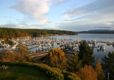 Overlooking Friday Harbor